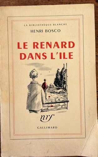 Renard dans ile par henri - dans, l'ile