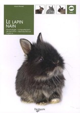 Le lapin nain: Morphologie