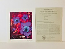 Dominic Pangborn "Purple