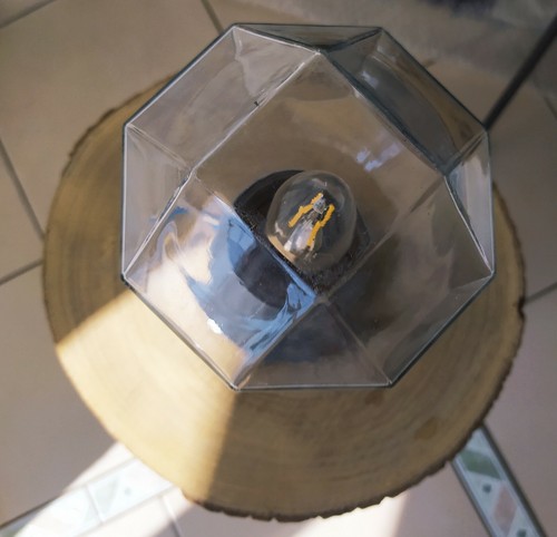 Space age wall lamp motoko - age,