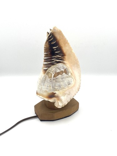 Lampe veilleuse coquillage - lampe,