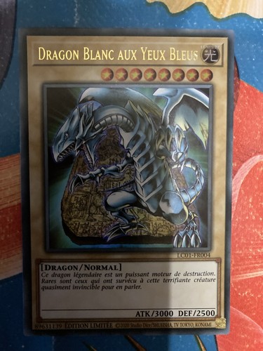 Dragon blanc aux - dragon,