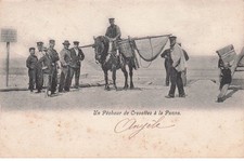 BELGIQUE  LA PANNE  un pecheur de crevettes