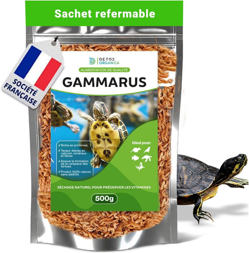 Nourriture tortue aquatique - tortue,