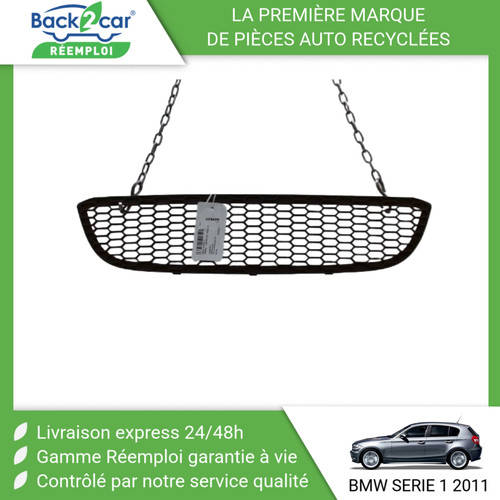 Grille pare choc - grille, avant