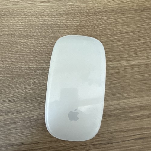 Apple magic mouse - magic, 1
