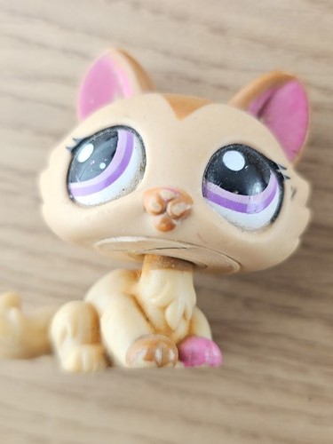 Littlest petshop ancien - my,