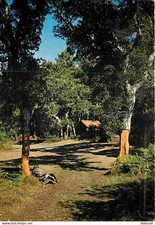 Carte Postale - 40 - Landes -
