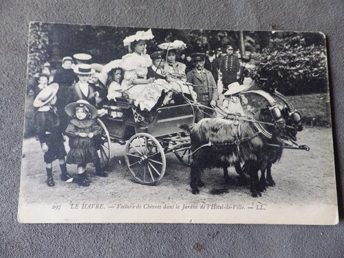 Cpa attelage chevres le - cpa,