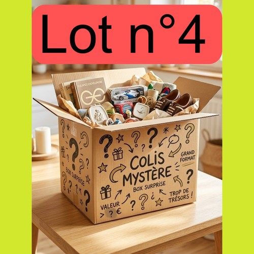 Large mystery parcel - lot, n'4