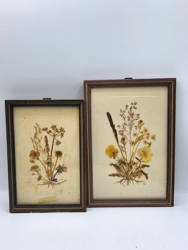 Lot 2 cadres herbiers - -,