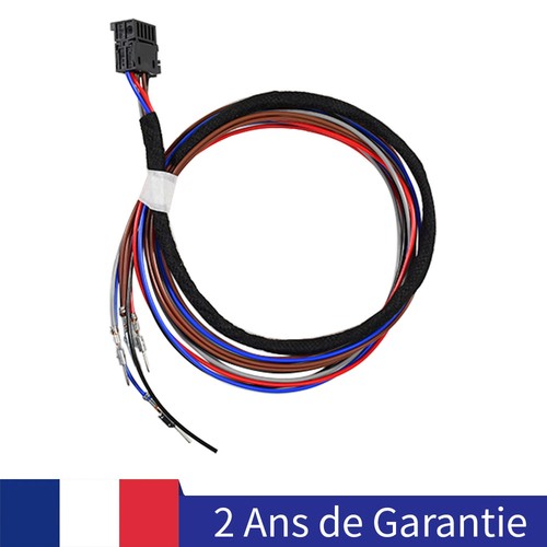 Câble régulateur vitesse - régulateur,