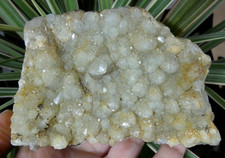 Plaque Quartz Cornet 10x7.5cm Puy de Dôme France mineral collection ancienne