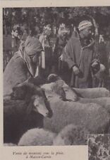 1942 -- ALGERIA SALE OF SHEEP IN THE RAIN AT HOME SQUARE 3B498