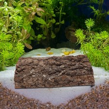  2 Pcs Fond De Terrarium