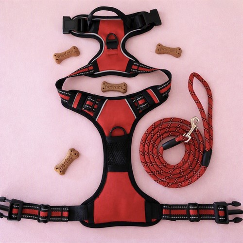 Set harnais chien - harnais, rouge|