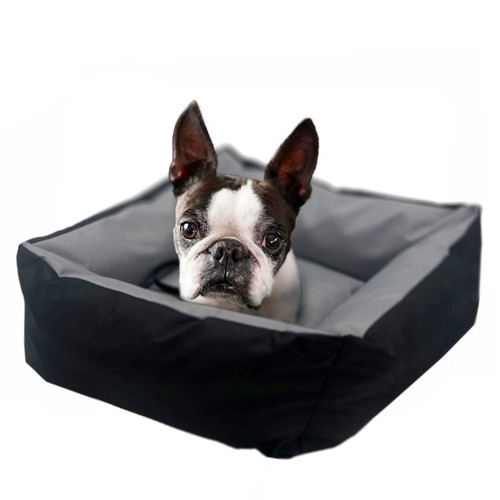 Boîte transport pour chien - boîte,