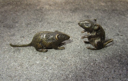 Deux belles petites - , souris