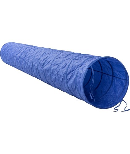 Tunnel agility dog basic