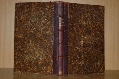 Neumann 1885 cours sur - neumann, :