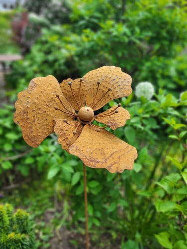 Rouille noble éolienne fleur