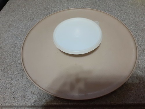 Vintage tupperware round chip - vintage,