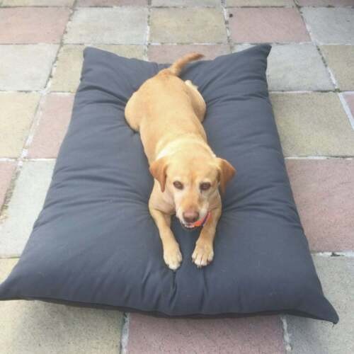 Pet coussin lit - coussin, chat