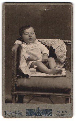 Photographie pokorny vienne - photographie,
