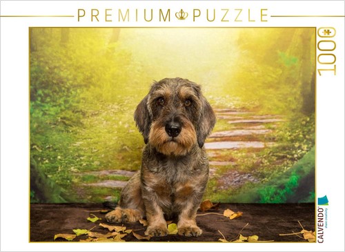 Puzzle calvendo teckel poil - teckel,