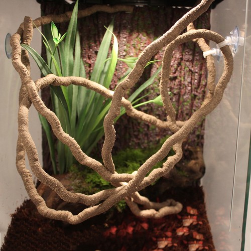 Flexible terrarium reptile - flexible,