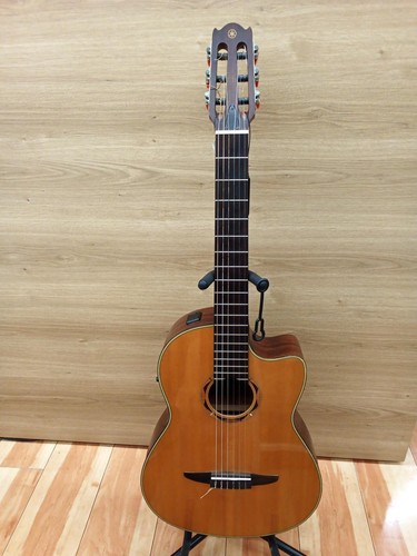 Guitare acoustique électrique