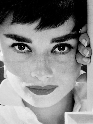 Photo audrey hepburn - photo,