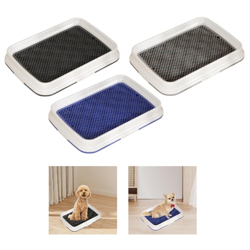 Plateau toilette chien - chien, tapis