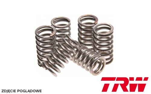 Triumph speed four clutch - triumph,