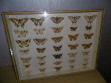 Ancienne vitrine boîte