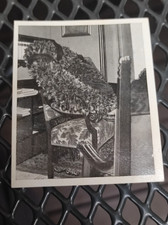 WW1 Hindenburg 1934 Photo Card Office Chair
