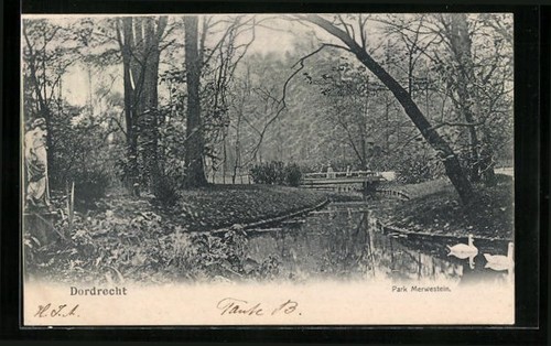 Dordrecht park merwestein - dordrecht,,