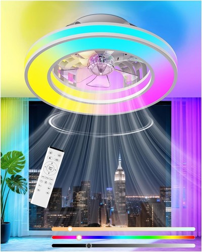 Ceiling fan with light and - fan,