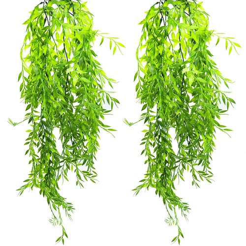 Pcs plantes suspendues - 2,
