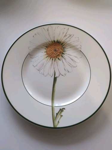 Assiette plate villeroy - villeroy, &