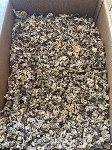 Morilles pieds séchées - séchées, 10