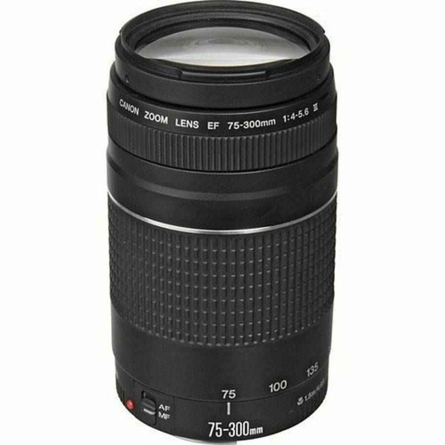 Canon 300mm 4 5 6 - ef, 75-300mm