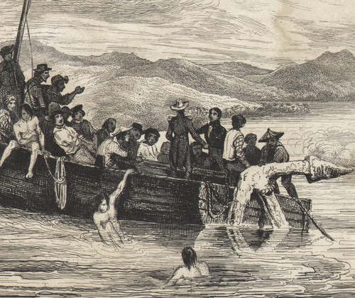 1850 gravure originale marine - gravure,