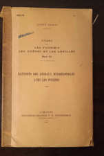 Étude Sur Les Fourmis Les