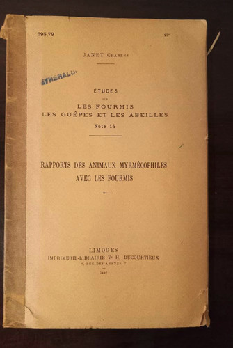 étude sur les fourmis - Étude,