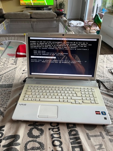 Sony vaio amd - (a598), athlon