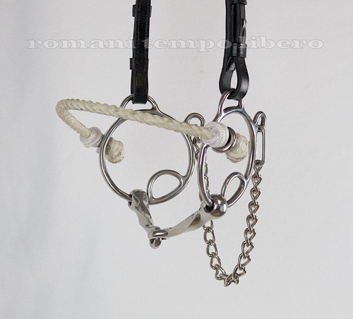 Combination bit tandem twisted - bit,
