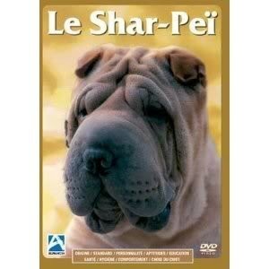 Shar peï v2153045 - le,