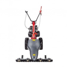 Motofaucheuse à section -