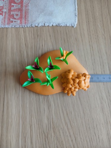 Plan champignons verdure - champignons, +